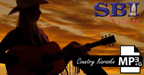 2013 COUNTRY HITS VOL 1 - SBI ALL STARS
